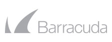 barracuda partner logo