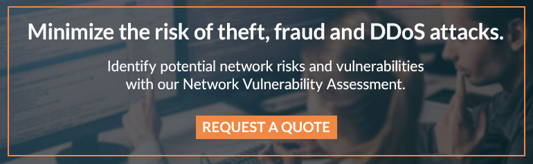 network vulnerability assessment